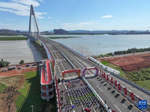 日韩高清视频大桥拍照,大桥之美瞬间